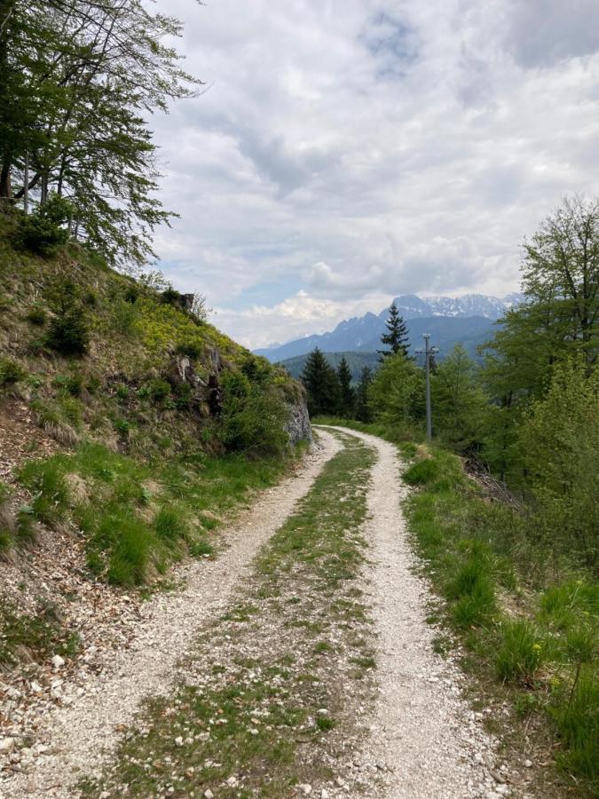 Adriatico Rooms Tarvisio Bagian luar foto
